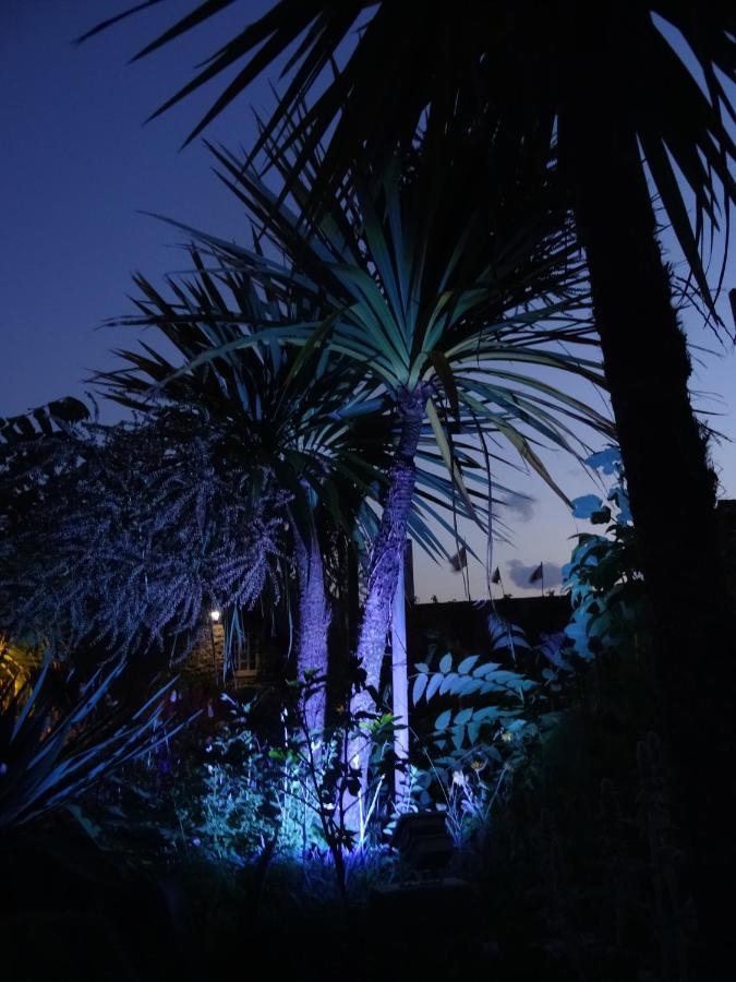 Gite "Rose Des Sables" - 800M De La Plage De Surtainville, Proche Commerces - Piscine En Juillet Et Aout Værelse billede