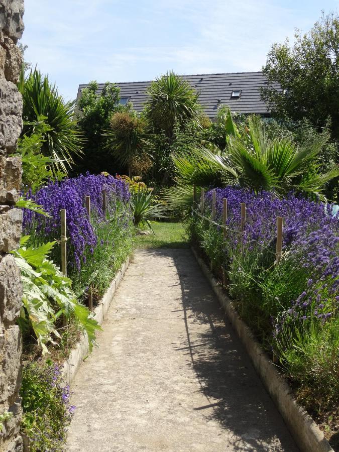 Gite "Rose Des Sables" - 800M De La Plage De Surtainville, Proche Commerces - Piscine En Juillet Et Aout Værelse billede