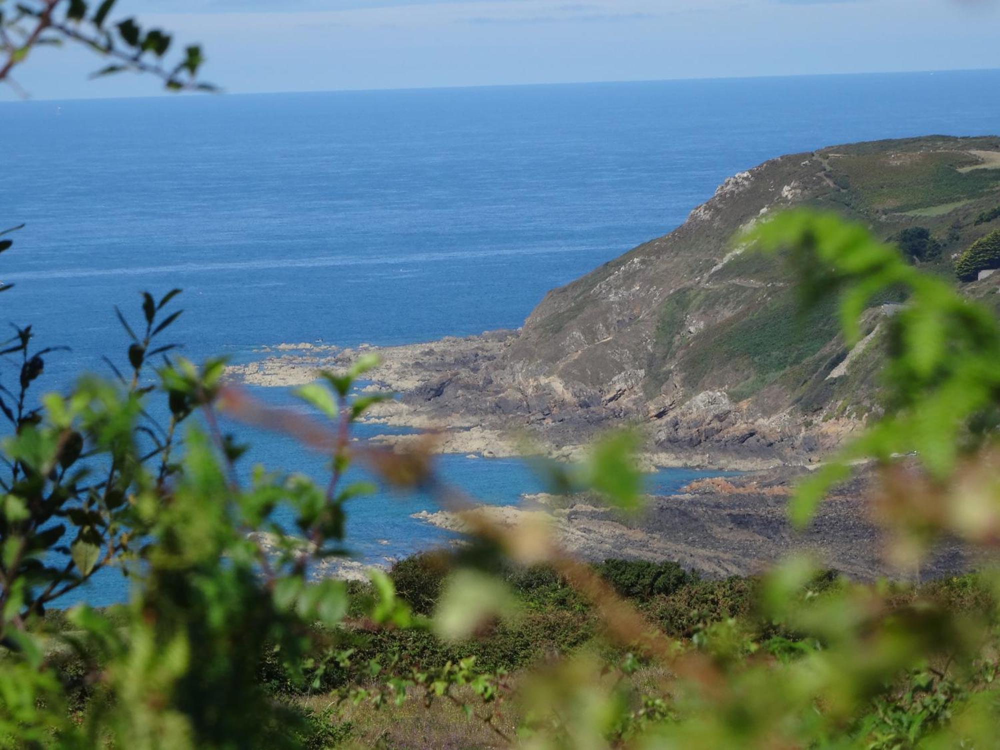 Gite "Rose Des Sables" - 800M De La Plage De Surtainville, Proche Commerces - Piscine En Juillet Et Aout Eksteriør billede