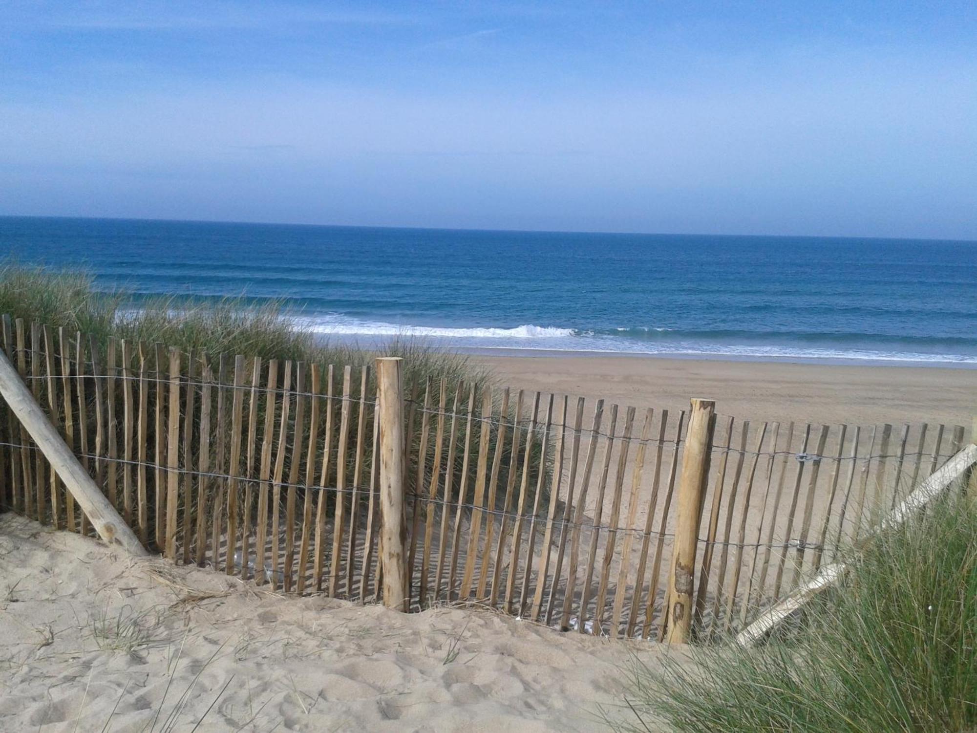 Gite "Rose Des Sables" - 800M De La Plage De Surtainville, Proche Commerces - Piscine En Juillet Et Aout Eksteriør billede