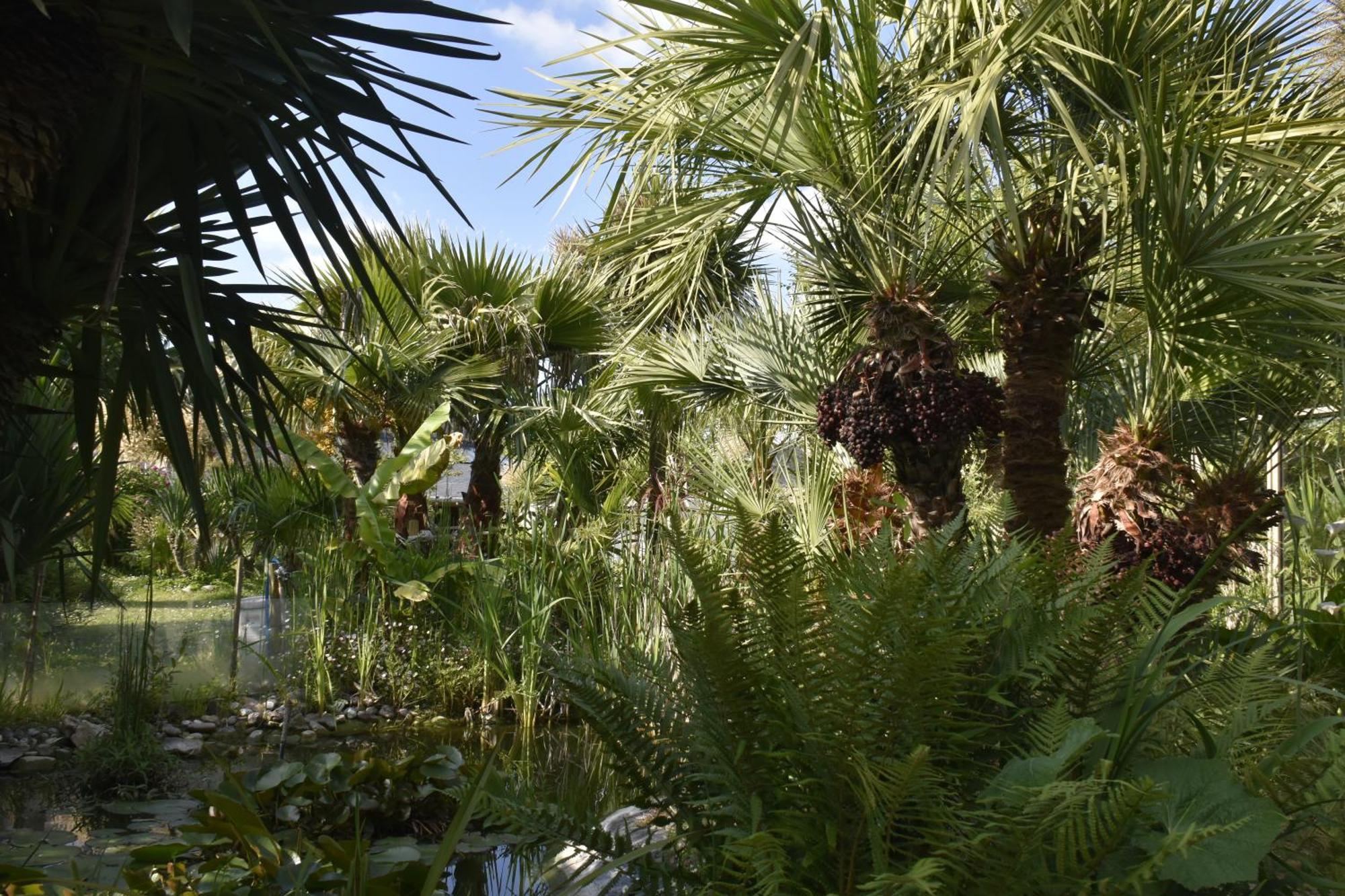 Gite "Rose Des Sables" - 800M De La Plage De Surtainville, Proche Commerces - Piscine En Juillet Et Aout Eksteriør billede